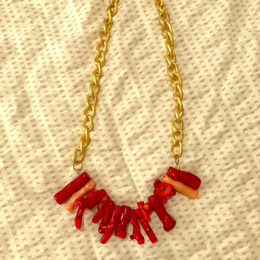 Chunky coral piece necklace!